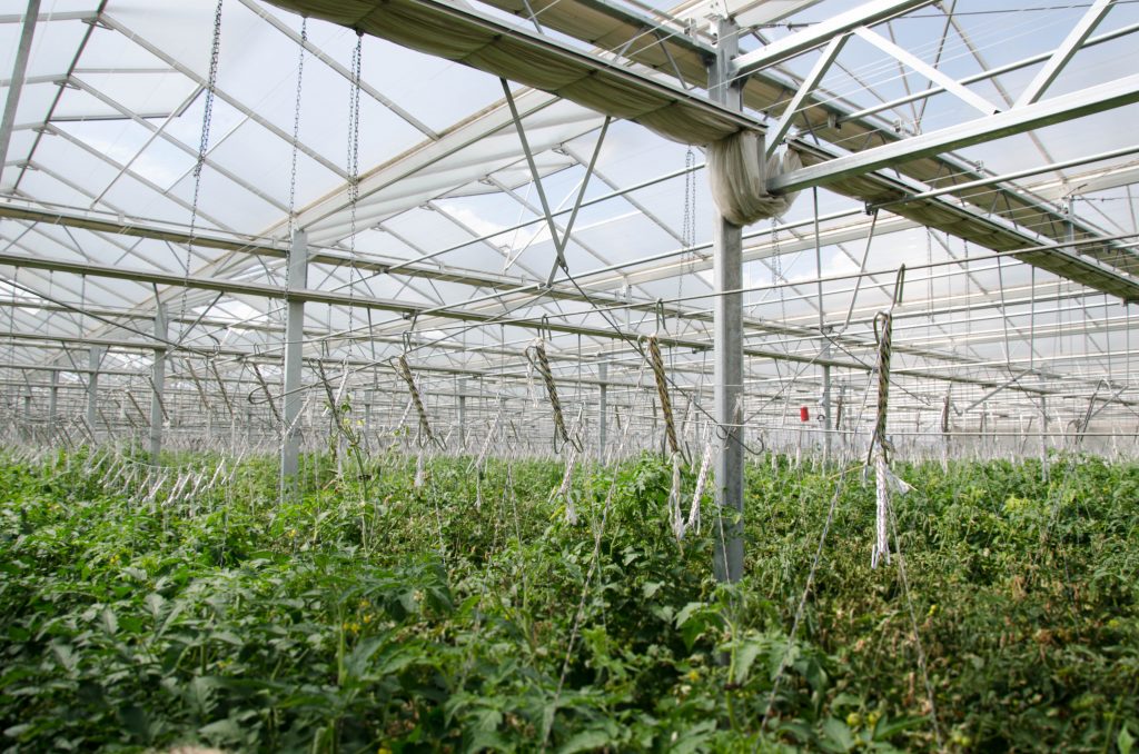Neubau von Gewächshäusern im Knoblauchsland Brandschutznachweis und